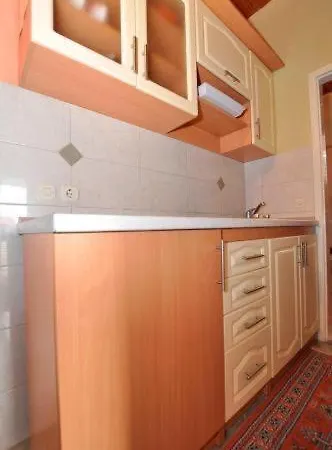 Apartment Vida